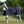 Load image into Gallery viewer, Back On Track Quick Cooler Rug

