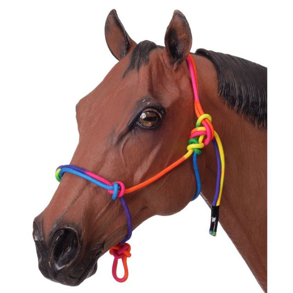 Rainbow Rope Halter