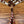 Load image into Gallery viewer, Rockn' Wilson's White Gator w/ Red Thunderbird

