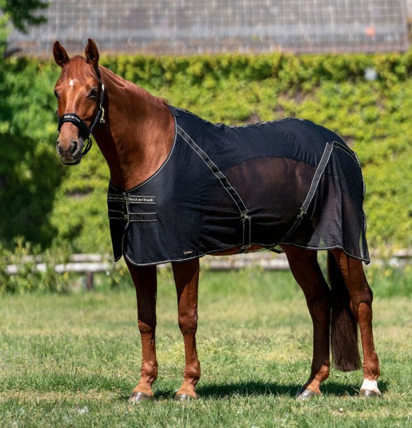 Back On Track Sienna Mesh Sheet