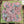 Load image into Gallery viewer, XOXO Shorty Scarves

