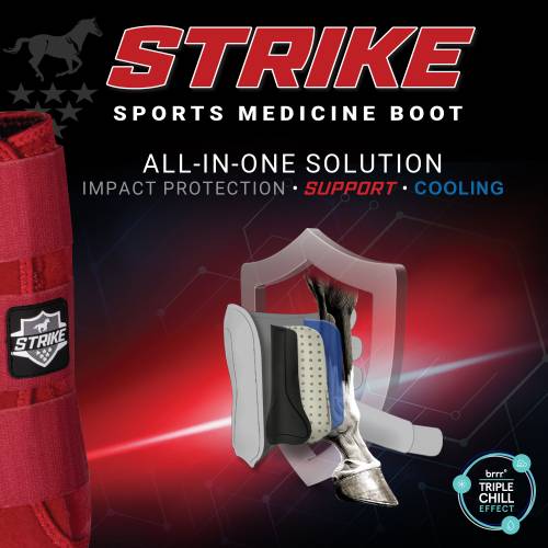 Professional's Choice Strike Boots/Front/Large/White