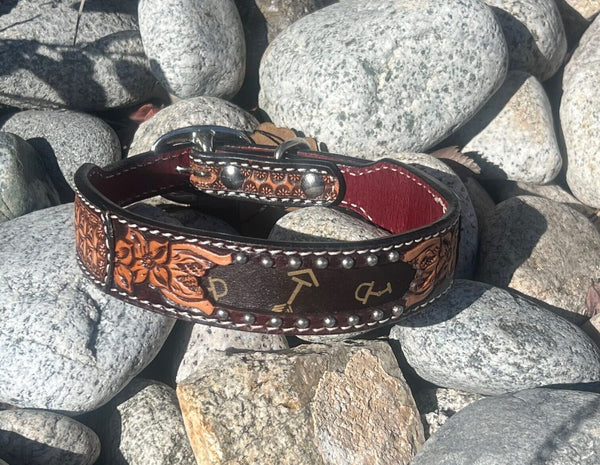 Rafter T Dog Collar w/Tooling & Tan Arrows