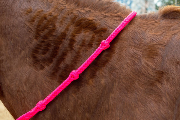 Jerry Beagley Round Braided Knot Reins