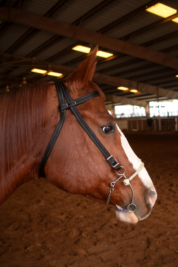 Haydock Nylon Brow Band Headstall