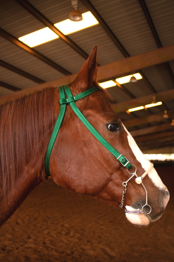 Haydock Nylon Brow Band Headstall