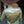 Load image into Gallery viewer, Sage &amp; Vanilla Retro Bootstitch Embroidered Satin Pullover Button Up Lightweight Low Stretch

