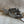 Load image into Gallery viewer, Jerry Beagley Youth/ Women's Spurs Silver -12pt Rowel
