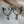 Load image into Gallery viewer, Jerry Beagley Men's Horizontal Rowel Spur

