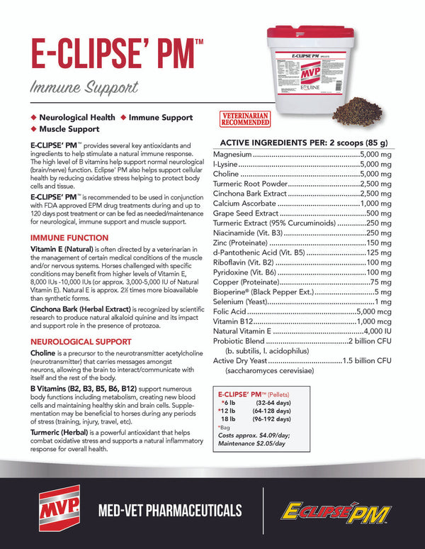 MVP Eclipse 'PM Pellets