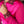 Load image into Gallery viewer, PINK PISTOL SATIN MESH PERFORMANCE RODEO SHIRT
