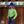 Load image into Gallery viewer, *YOUTH* LIME SPARKLE PERFORMANCE SHIRT
