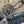 Load image into Gallery viewer, Rockn' Wilson's Black Gator w/ Silver Ice Overlay
