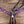 Load image into Gallery viewer, Rockn' Wilson's Fuchsia Mystic Dark Oil
