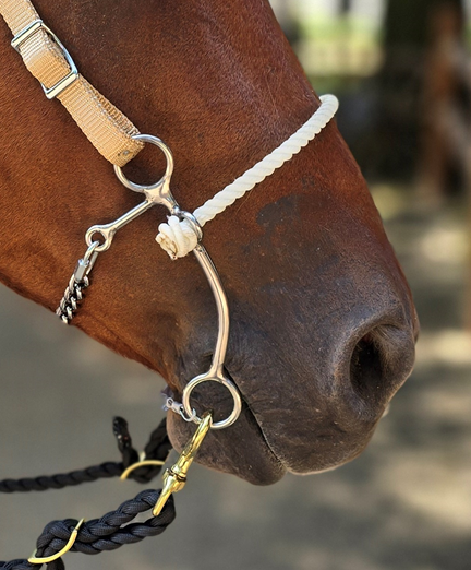 Josey Million Dollar SS Hackamore – Josey Western Store