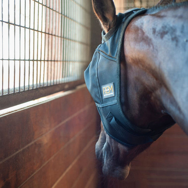 Restoration Equine Mask