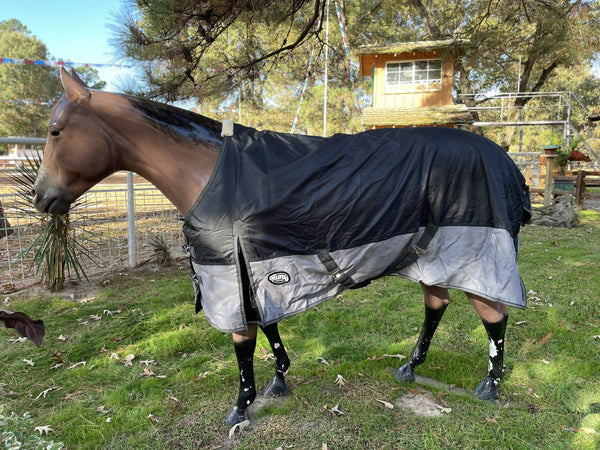 Weaver Premium Turnout Blanket 84"