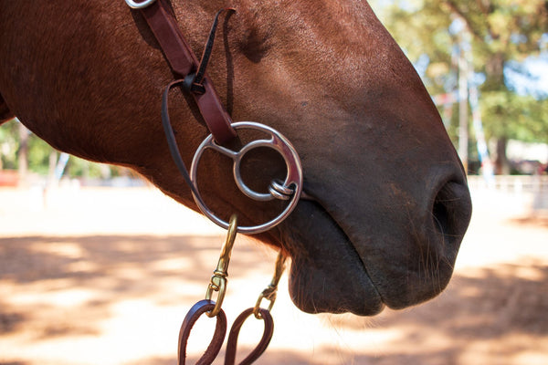 Horse Illustrated's Online Bit Guide: Loose Ring or O-Ring Snaffle - Horse  Illustrated