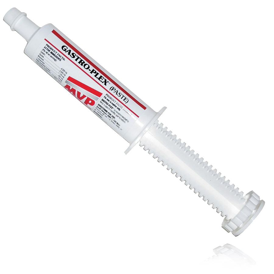MVP Gastro-Plex Paste-80ml – Josey Western Store