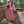 Load image into Gallery viewer, Haydock Nylon One Eared Headstall
